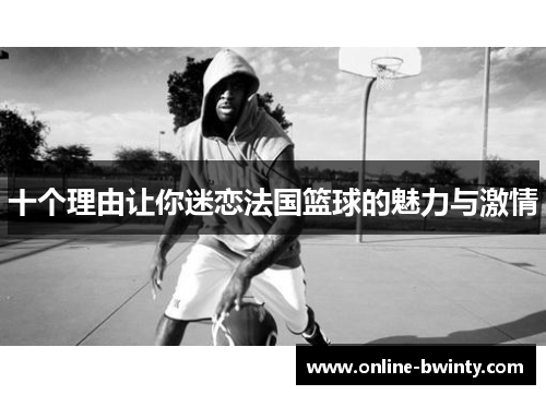 十个理由让你迷恋法国篮球的魅力与激情